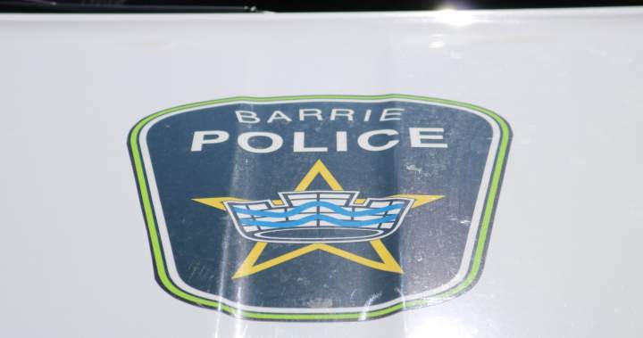 Search for ‘aggressive’ dog that attacked child in Barrie continues