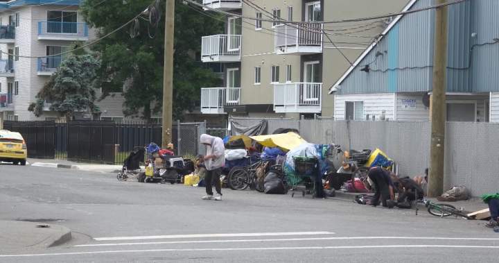 North Cowichan mayor asks for province’s help to address homelessness, mental health