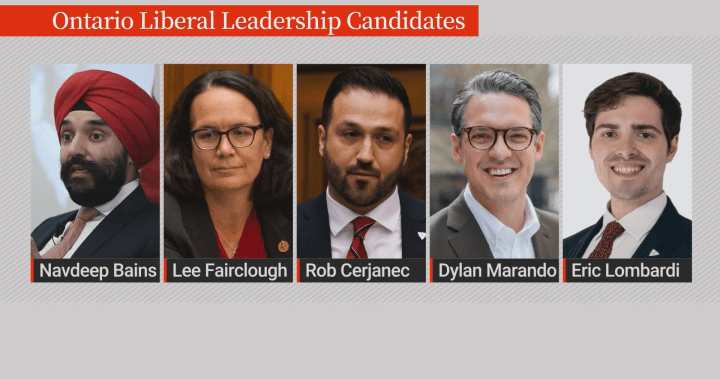 Ontario Liberal leadership candidate vows to make health care more ‘competitive’