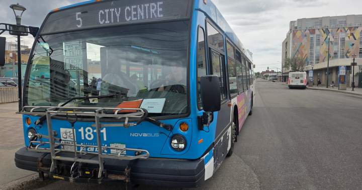 Proposed Saskatoon bylaw aims to address safety concerns on city buses