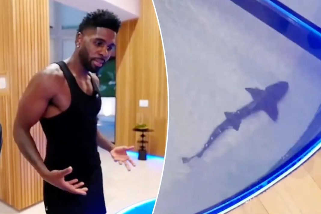 Jason Derulo faces backlash over $1M shark tank inside his California home