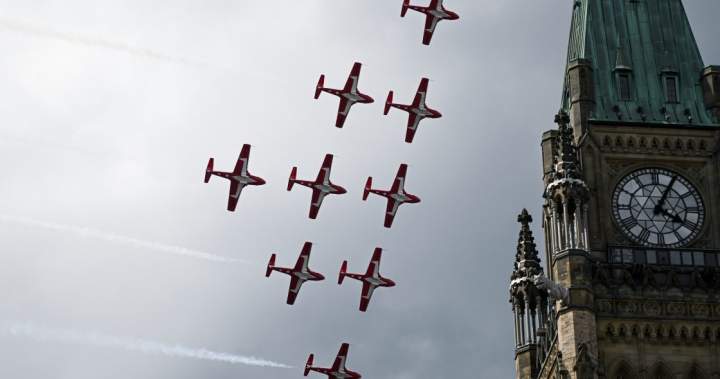 Snowbirds Alumni Association is fighting to keep the team flying