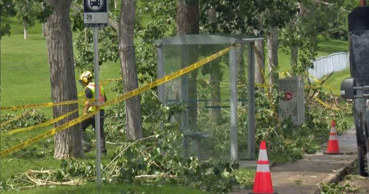 Cleanup underway after ‘nasty’ Alberta storm topples trees, damages roofs and buildings