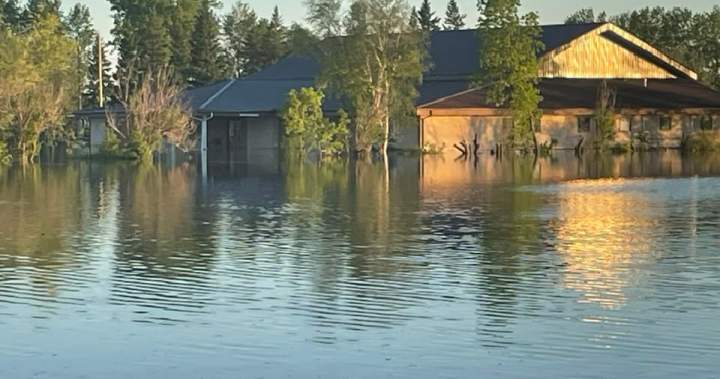 ‘Significant’ flooding leaves western Manitoba town sandbagging homes, businesses